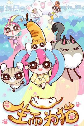 湘潭seo优化方案